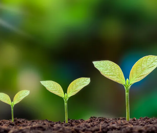 Staying Independent Doesn’t Mean Standing Still—What’s Your Firm’s Growth Plan?